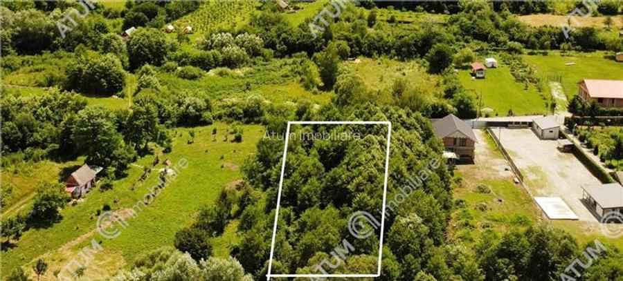 Teren de vanzare pe Valea Avrigului Sibiu - 4