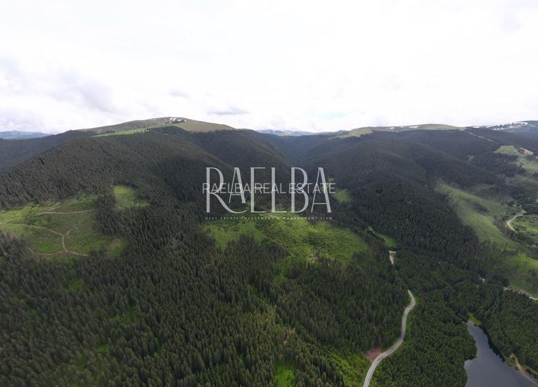 7831mp Padure | 1200mp construbili | 5.min Partie Transalpina | 177m Lac Vidra - 3