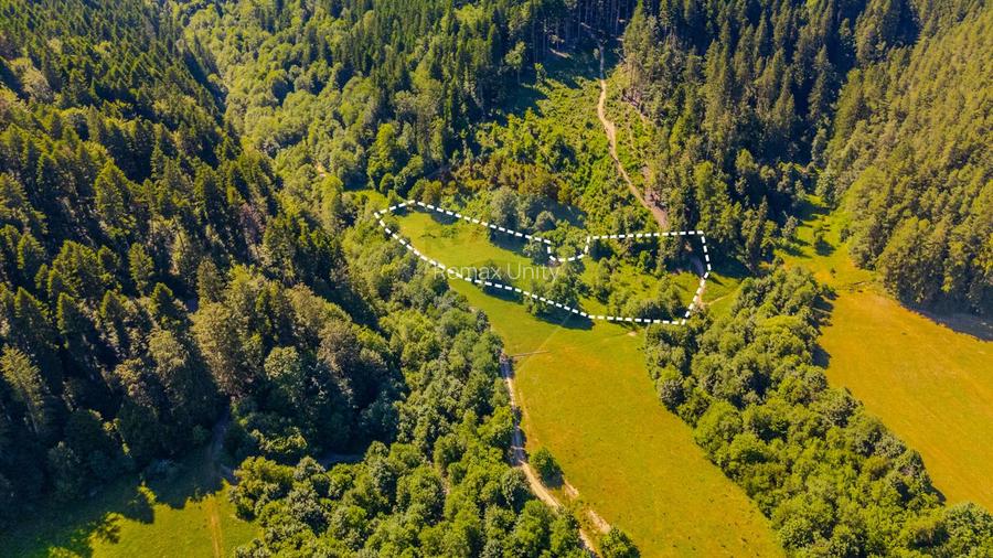 Teren 6000mp Sacele -zona Brădet/ Intravilan/ COMISION 0% - 5