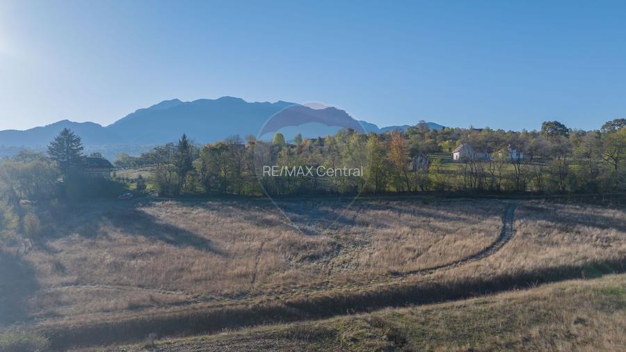 Comision 0% Teren de vanzare, zona Bran - Sohodol, 4000mp, parcelabil! - 5