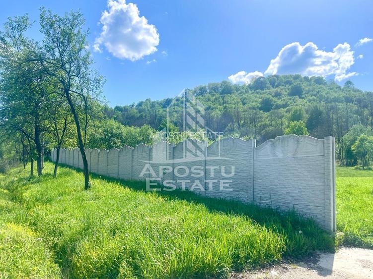 Teren intravilan, partial imprejmuit, eligibil grant- Pojoga, com. Zam - 4