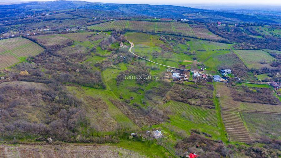 Teren 33.500 mp-Valea Orlei, Prahova/ COMISION 0% - 10