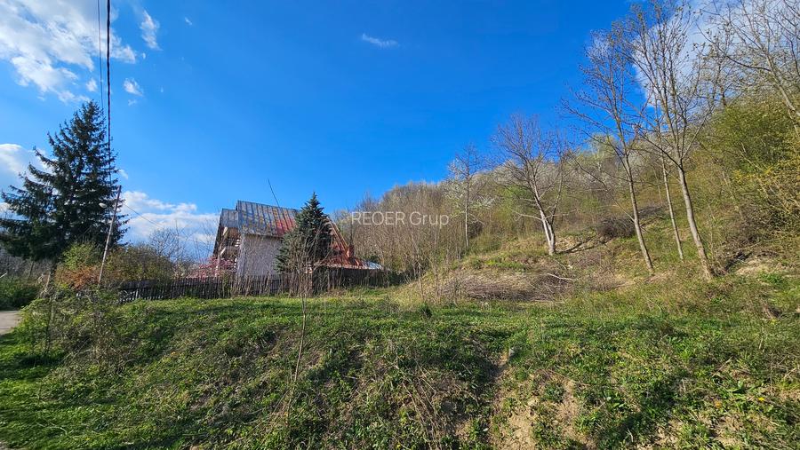 BREBU – intravilan 1800 mp, deschidere 29 ml, doar 16.900 € - 14