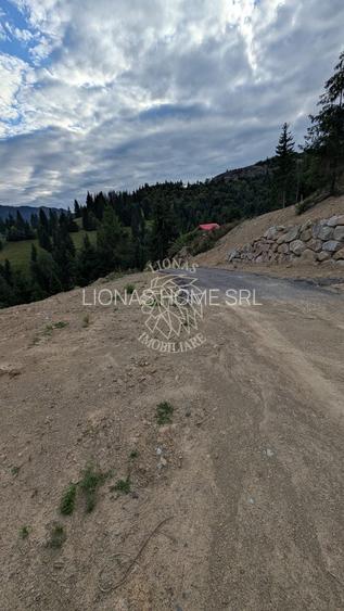 Parcele teren intravilan cu utilitati-panoramic-Colibita - 2