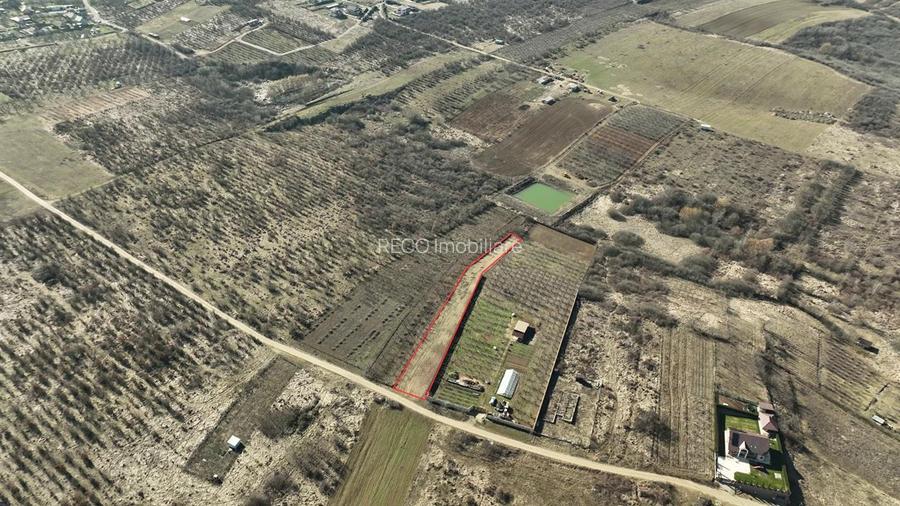 RECO TEREN INTRAVILAN IN PALEU - 3