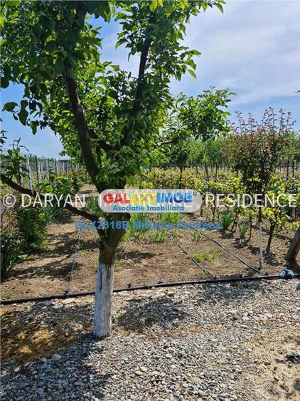 Teren in Poienari Apostoli, 21 E mp, Avantajos, DN1, 34.500 euro - 11