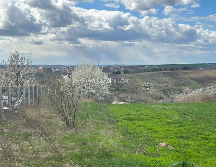 Teren intravilan 3271 mp Valea Lupului, Iași deschidere la asfalt 1 Decembrie - 5