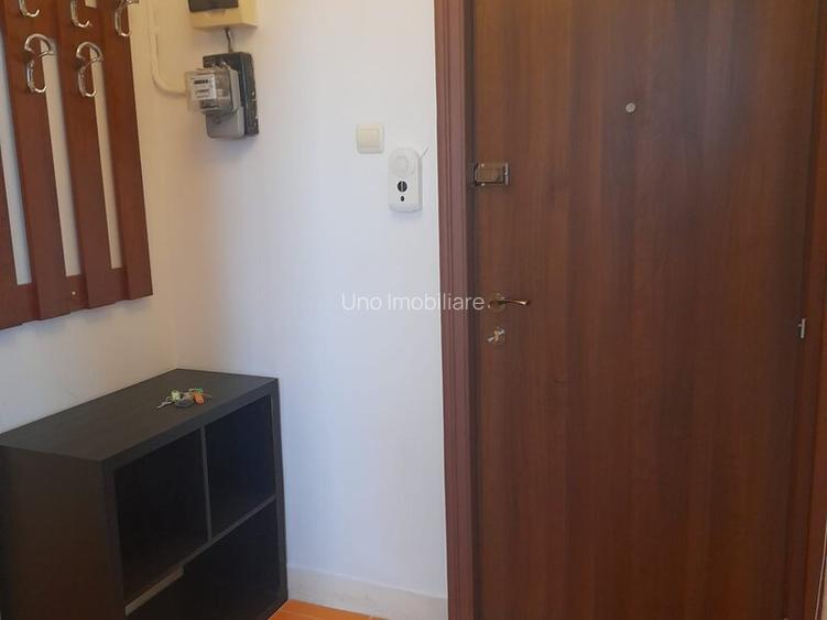 DOROBANTI ,IANCU DE HUNEDOARA GARSONIERA  PET FRIENDLY INCHIRIERE - 12