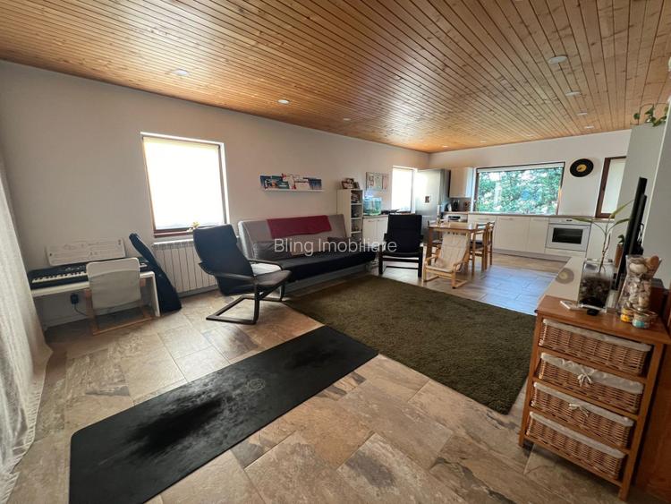 Casa individuala, 100 mp utili, 1200 mp teren, Salicea - 3