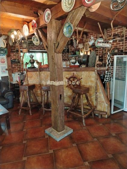 Lac de agrement pentru pescuit – Proprietate completă, 8,1 ha | De vânzare - 5