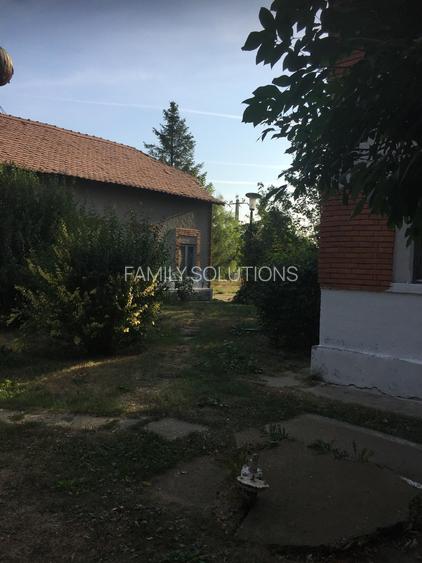 FERMA DE VANZARE! Pomi fructiferi, Bals, Jud Olt - 7