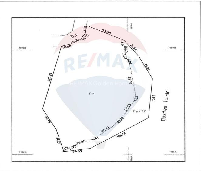 Teren Lepsa Soveja DN2 L - 4