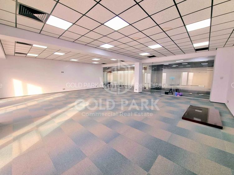 Spatiu de Birouri-Zona Traian Vuia-Parcare/Suprafete de la 50-160 mp - 4