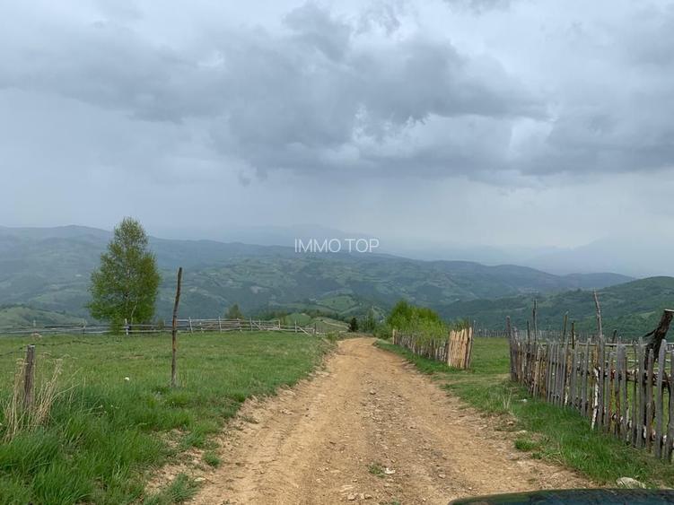 Teren extravilan 2ha, priveliste panoramica spre munti /Poiana Marului - 2