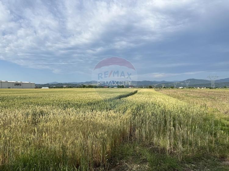 Teren zona industriala Roznov - 2