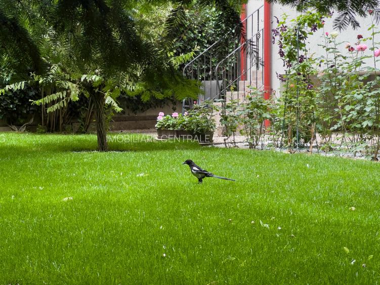 Parter în vilă cu grădină. - 3