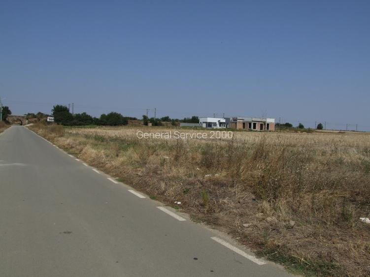 Domnesti-Salciei-stradal 6784 mp - 7