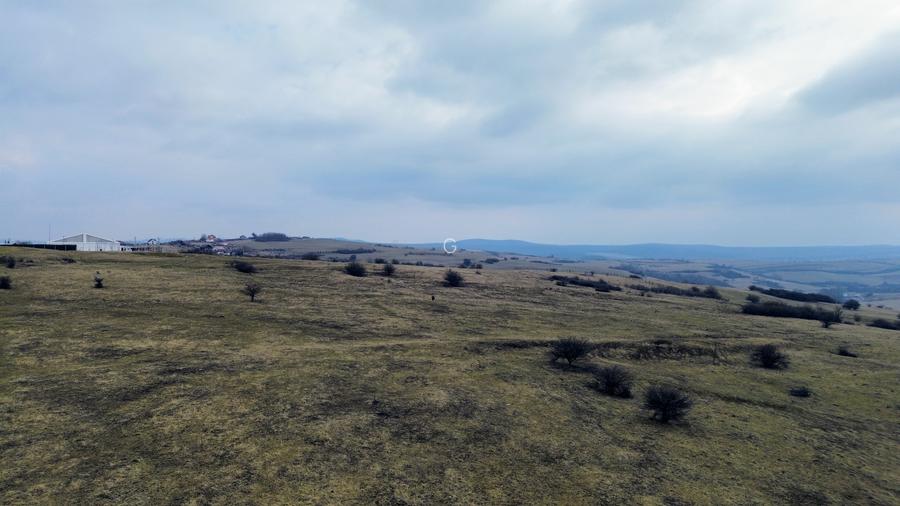 Teren agricol extravilan de vânzare – 67.500 mp – Dealul Daii, Sibiu - 5