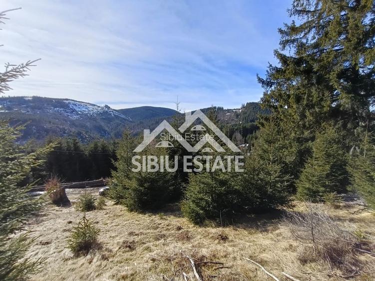 Teren de vânzare în zona montană a județului Alba - 10