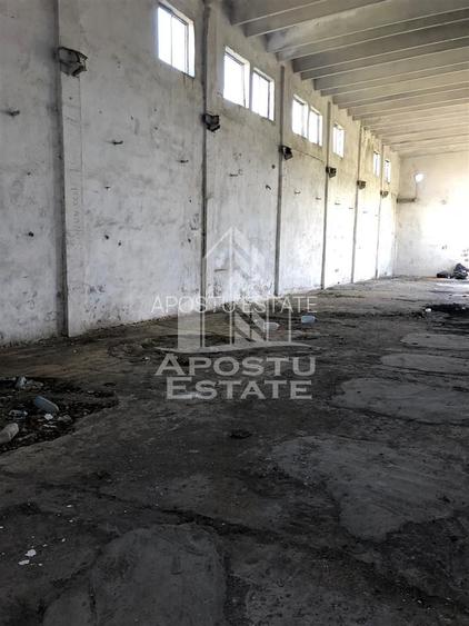 Teren 8000 mp  cu hala de 700 mp - 3