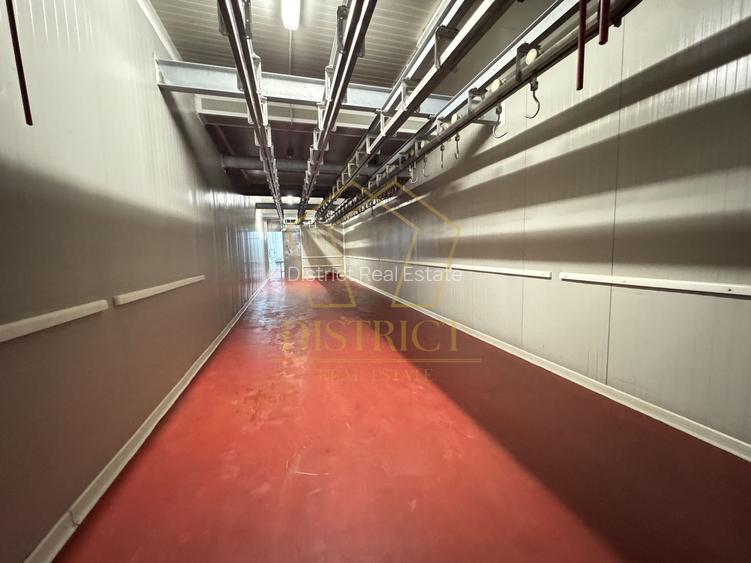 Hala pentru depozitare si distributie | Dumbravita - 4