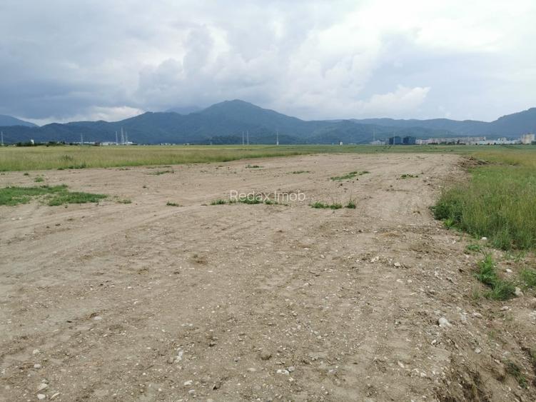 Teren pentru hale si depozite Timisul sec- Uzina 2 front la ocolitoare - 2