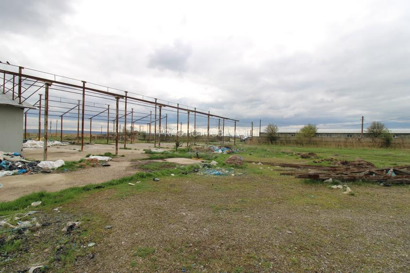 Hala in Foltesti - 5