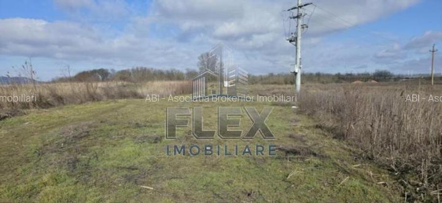 Vanzare Teren Delta Dunarii 3.83 Ha - Oportunitate - 8