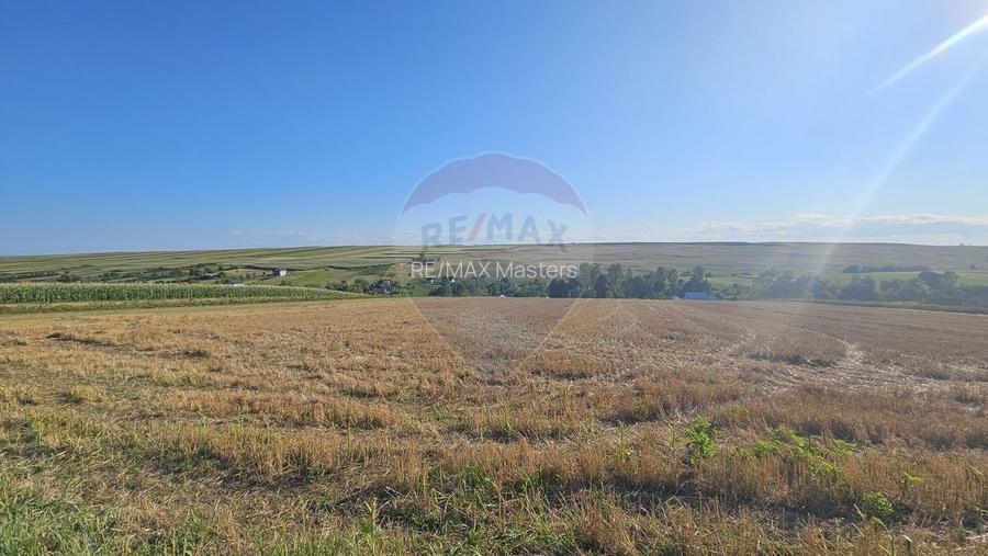 Teren intravilan, 7500 mp in Moara Carp / Strada Eternitatii-Suceava - 9