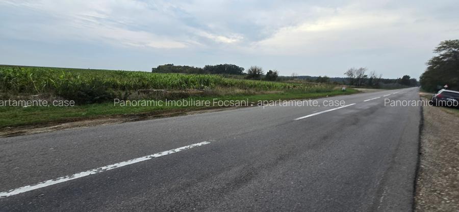 LIVADA  DE VANZARE FOCSANI-DUMBRAVITA  1,8  HA - 19