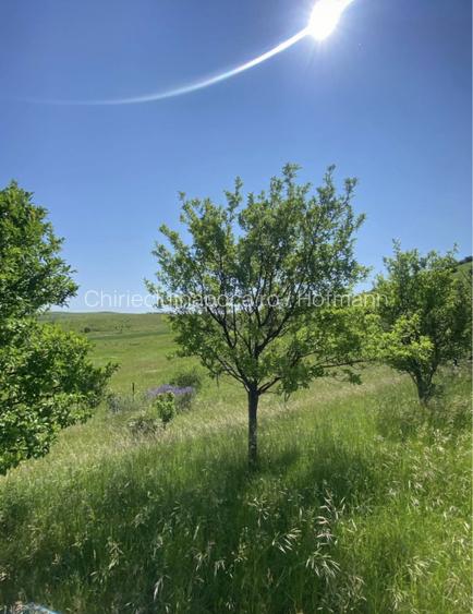 Vindem 2 parcele de intravilan în zona Triajului Sannicoara - Apahida - 2