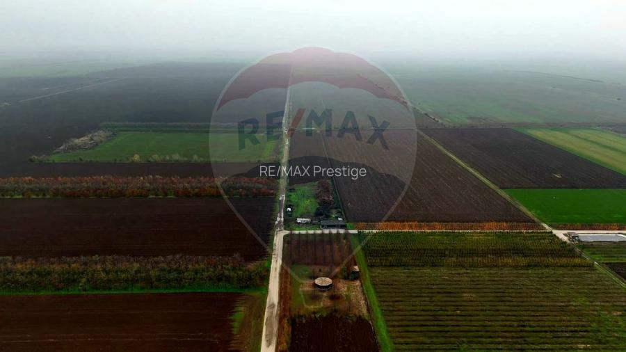 Ferma agro-industrială – 43 ha Adunații Copaceni - 12