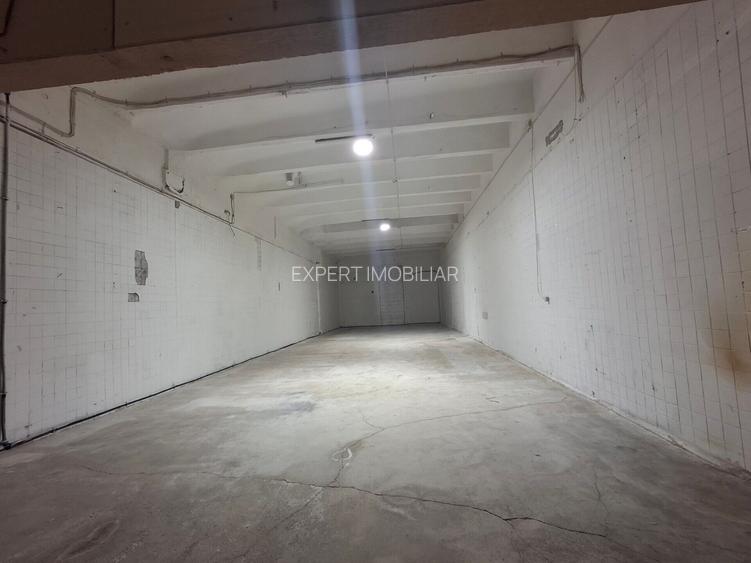 Spatii depozitare /productie Linia de Centura Leordeni-Glina - 18