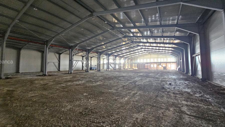 Inch HALA 1560 mp + 240 mp birouri | Sos Pipera Tunari - 3