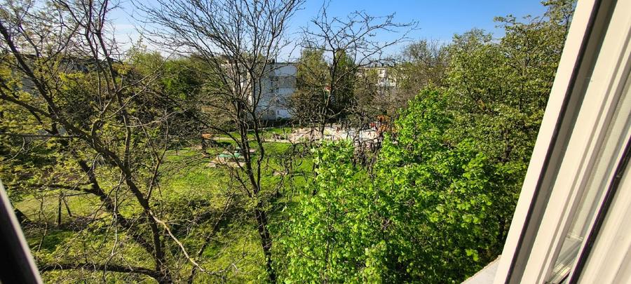 Apartament 3 camere decomandat  - zona Tiglina 1, cu vedere spre parc - 4