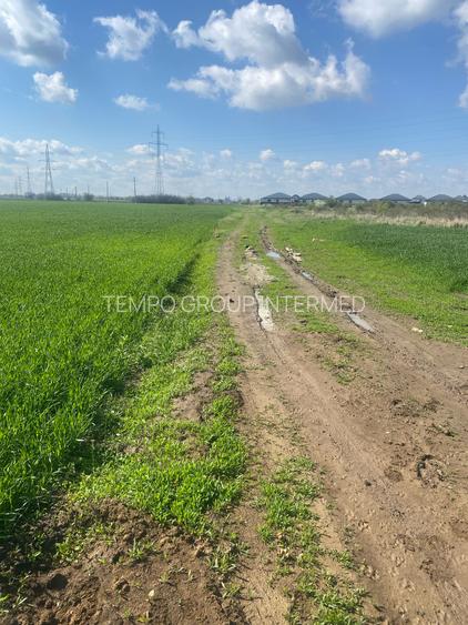 Sabareni - Certificat de Urbanism - 5808mp teren pentru investitie !! - 15