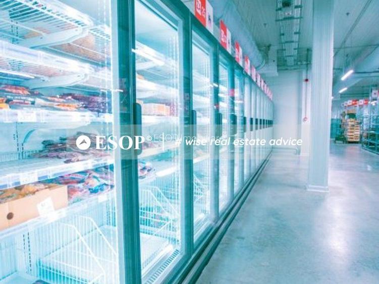 Hale de inchiriat Chitila, GLOBAL LOGISTIC PARK,  1.500 - 18.000mp - 7