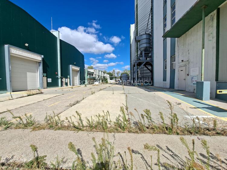 Hala de inchiriat 795 mp - 4