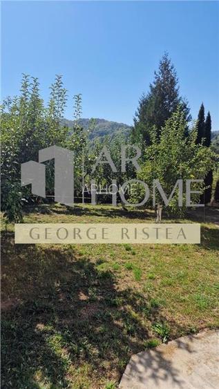 Vila  Provita de  Jos 380mp - 27