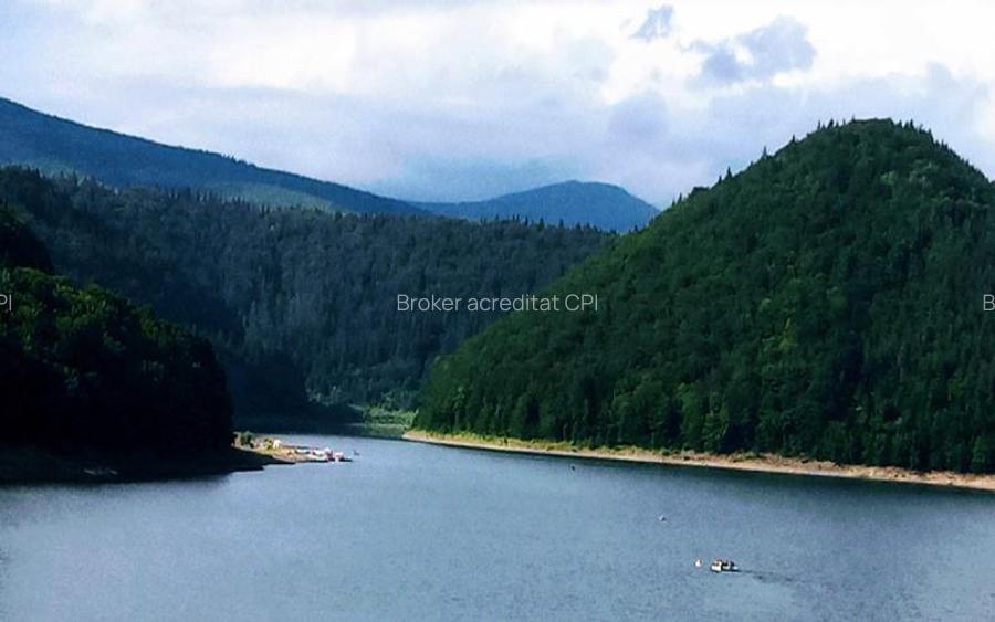 Teren intravilan si padure de brad 34.000 mp Varsag, Harghita - 5