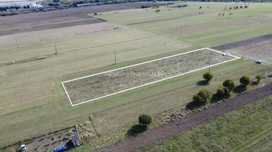 TEREN INTRAVILAN ZONA PENNY - 3