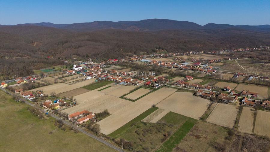 Loc de casă în Odvoș - Conop 3000mp - 24