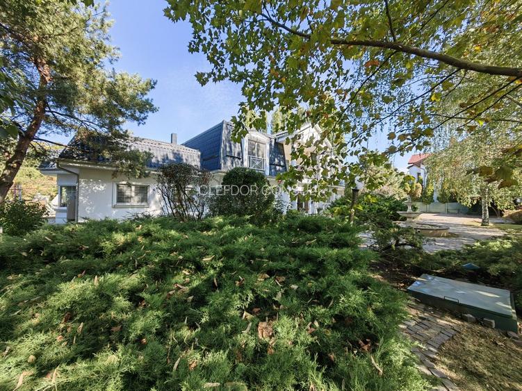 Vilă individuala în zona Iancu Nicolae - 8