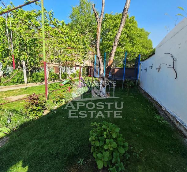 Casa individuala de vanzare, cu garaj, Lipovei, Timisoara - 17