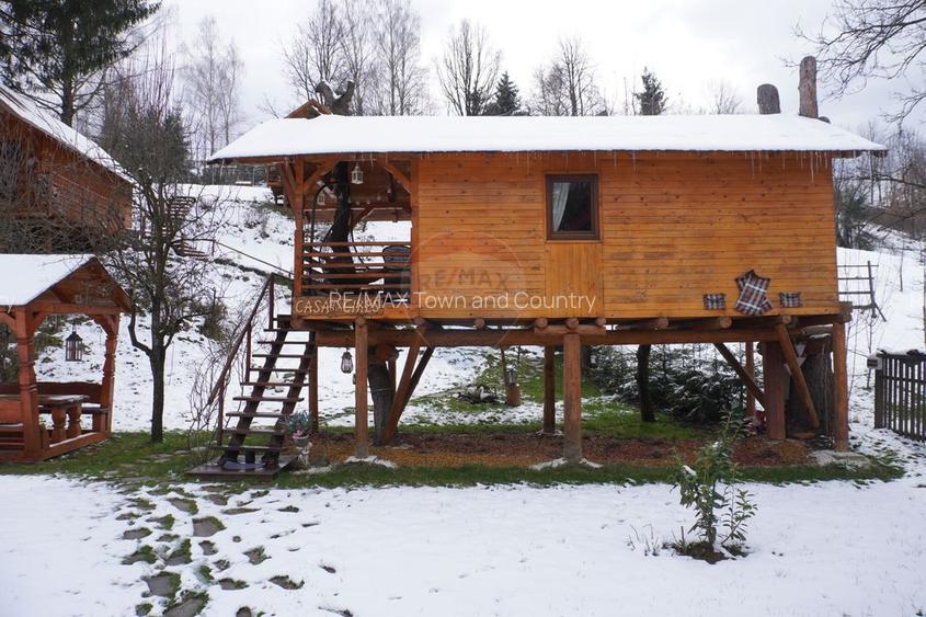 Casă de vânzare, Moisei - 56