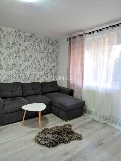 Apartament 2 Camere "La Cheie" – Tudor, B-dul 1 Decembrie (AC + 2 balcoane) - 10