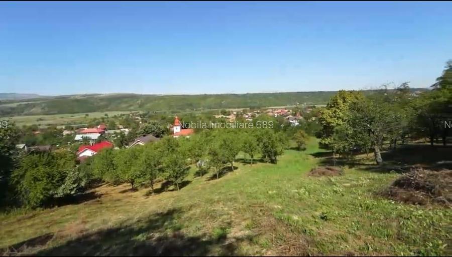Teren intravilan + extravilan 10.537 mp – casa, livada sau ferma de familie - 5