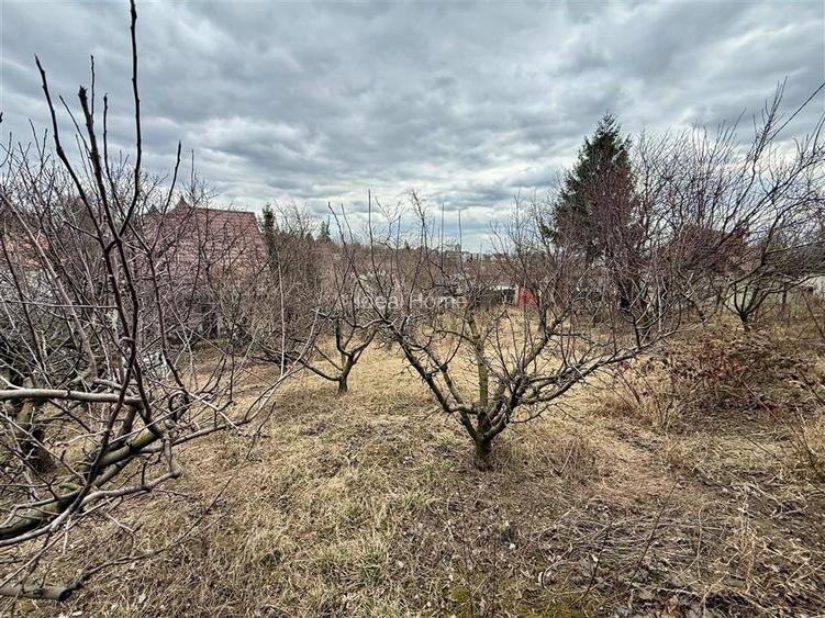 Casa cu teren 1480 mp Lidl Tudor Neculai - 10