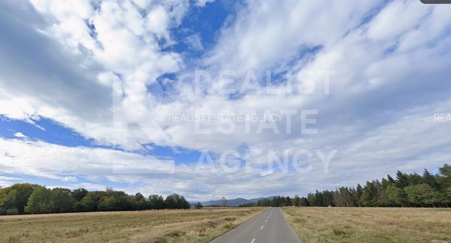 Teren intravilan 4,2 ha de vânzare| ideal investiție| POT 40%| Teișani - 4