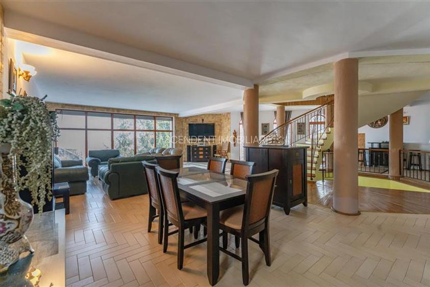 FILM! Castelariu: spectacol panoramic, locatie prestigioasa, exclusivist confort - 10